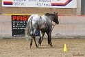 24-ApHC HIH_033